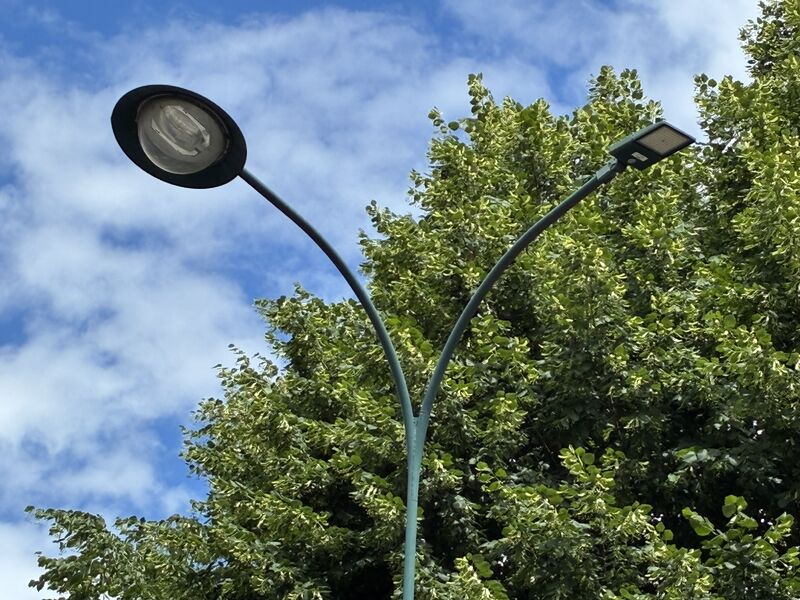 街路灯のポールや照明器具で最も一般的な色は何ですか?